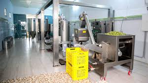 أصحاب المعاصر: "مصيرنا أصبح بين أيدي أربعة مصدرين والزيت سيسكب في الطرقات اذا لم تتحرك الدولة عاجلا"